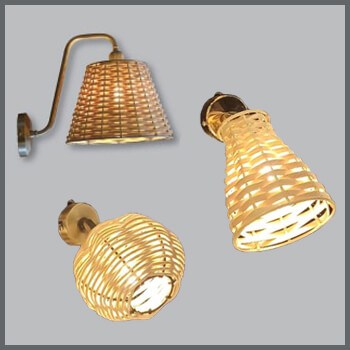 &Phi;&omega;&tau;&omicron;&gamma;&rho;&alpha;&phi;ί&alpha; &tau;&rho;&iota;ώ&nu; &alpha;&pi;&lambda;&iota;&kappa;ώ&nu; &tau;&omicron;ί&chi;&omicron;&upsilon; &alpha;&pi;ό &mu;&pi;&alpha;&mu;&pi;&omicron;ύ &kappa;&alpha;&iota; &rho;&alpha;&tau;ά&nu;, &alpha;&pi;ό &tau;&eta; &beta;&iota;&omicron;&tau;&epsilon;&chi;&nu;ί&alpha; &alpha;&mu;&pi;&alpha;&zeta;&omicron;ύ&rho; &kappa;&alpha;&iota; &phi;&omega;&tau;&iota;&sigma;&tau;&iota;&kappa;ώ&nu; Gekas Luminoso.